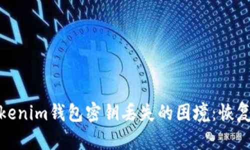 如何应对Tokenim钱包密钥丢失的困境：恢复与保护攻略