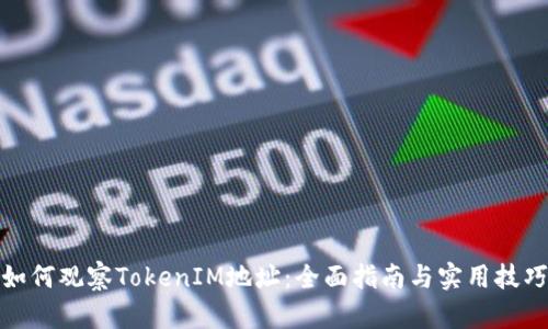 如何观察TokenIM地址：全面指南与实用技巧