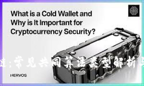 探秘区块链：常见共同算法类型解析与应用前景