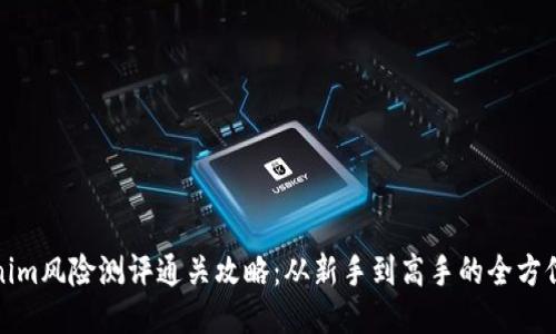 tokenim风险测评通关攻略：从新手到高手的全方位指导