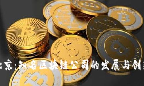 探秘北京：知名区块链公司的发展与创新之路