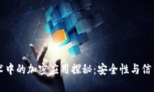 区块链技术中的加密应用探秘：安全性与信任的新曙光