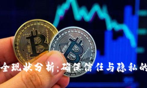 区块链安全现状分析：确保信任与隐私的双重挑战