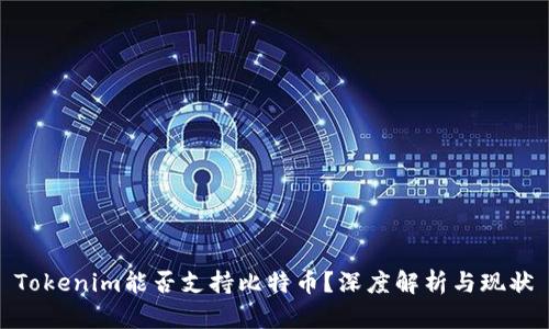 Tokenim能否支持比特币？深度解析与现状