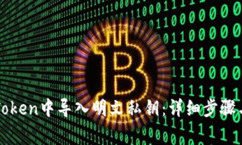 如何在imToken中导入明文私钥：详细步骤与注意事项
