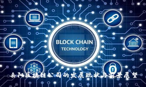 岳阳区块链公司的发展现状与前景展望