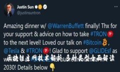 区块链主网技术解析：多