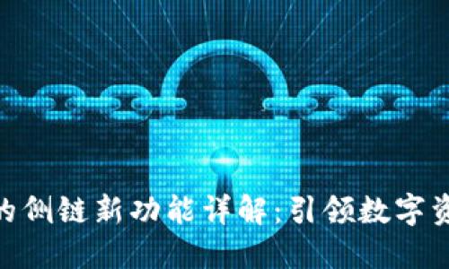 Tokenim钱包的侧链新功能详解：引领数字资产管理的未来