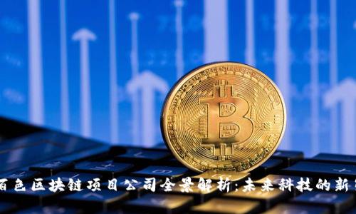 百色区块链项目公司全景解析：未来科技的新星