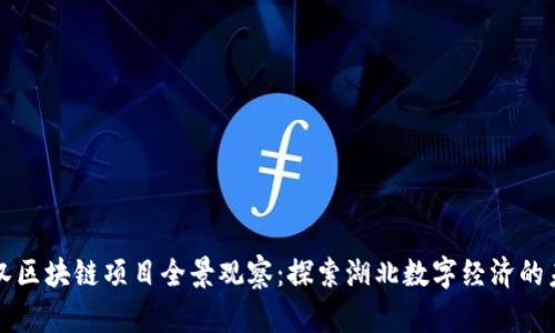 武汉区块链项目全景观察：探索湖北数字经济的未来