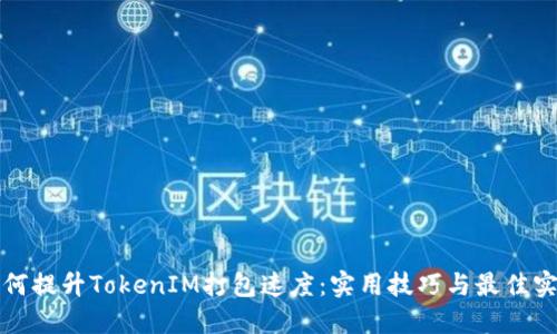 如何提升TokenIM打包速度：实用技巧与最佳实践