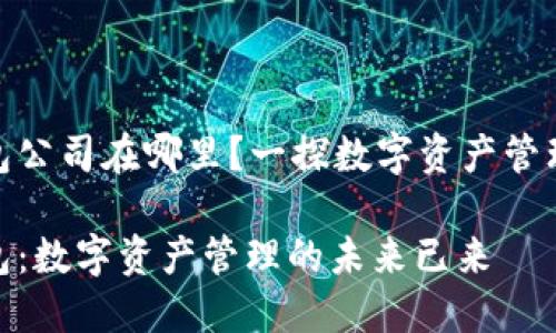 imToken钱包公司在哪里？一探数字资产管理平台的背后

imToken钱包：数字资产管理的未来已来