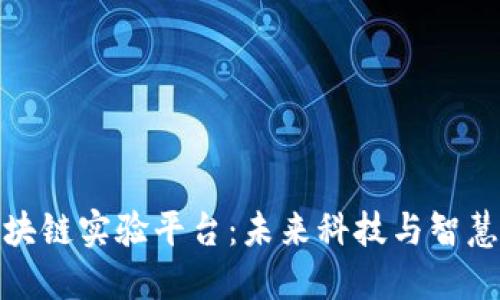 探索上海区块链实验平台：未来科技与智慧城市的交融