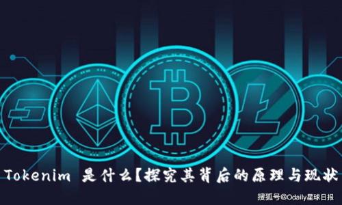 Tokenim 是什么？探究其背后的原理与现状