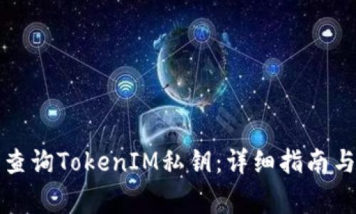 如何安全查询TokenIM私钥：详细指南与注意事项