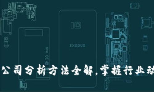 深度解析：区块链公司分析方法全解，掌握行业动态，投资不再盲目