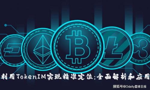 如何利用TokenIM实现精准定位：全面解析和应用指南
