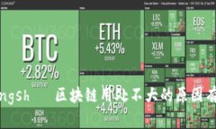  chéngshù 区块链用处不大