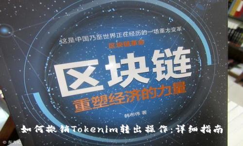 如何撤销Tokenim转出操作：详细指南