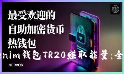 如何通过Tokenim钱包TR20赚取能量：全面攻略与技巧