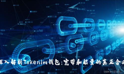 深入解析Tokenim钱包：宽带和能量的真正含义
