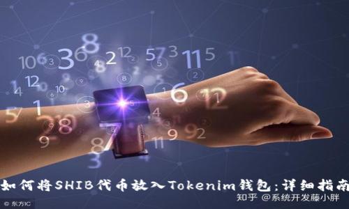 如何将SHIB代币放入Tokenim钱包：详细指南