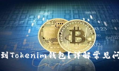 为什么币转不到Tokenim钱包？详解常见问题与解决方案