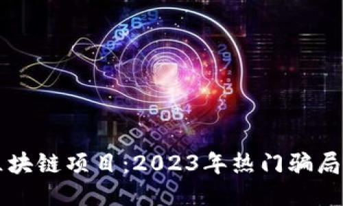 识别垃圾区块链项目：2023年热门骗局与风险提示