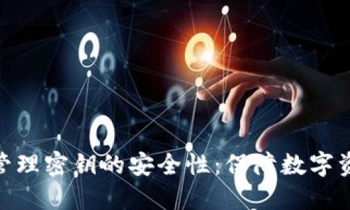 TokenIM管理密钥的安全性：保障数字资产的未来