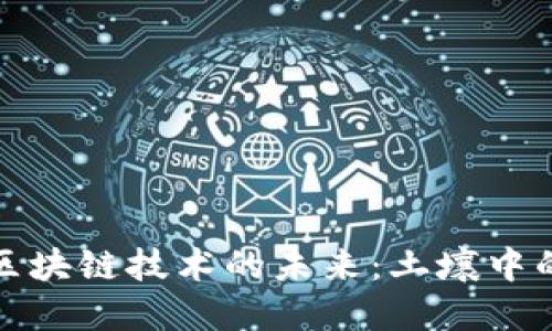 探索河南区块链技术的未来：土壤中的创新之花