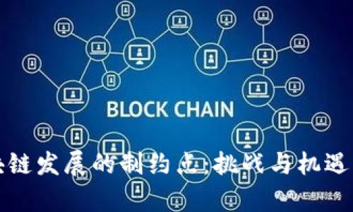 区块链发展的制约点：挑战与机遇并存