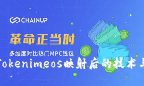 深入探讨Tokenimeos映射后的技术与应用趋势