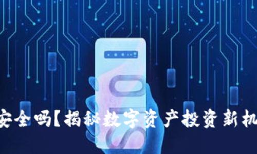 Tokenim安全吗？揭秘数字资产投资新机遇与风险