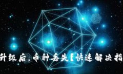  imToken应用升级后，币种丢