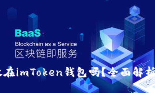 SHIB可以放在imToken钱包吗？全面解析与操作指南