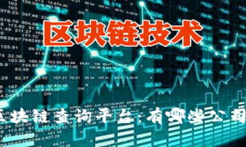 探秘区块链查询平台：有哪些公司参与？