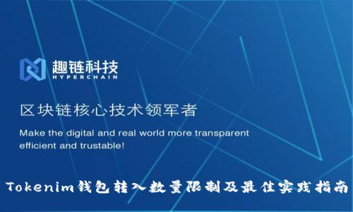Tokenim钱包转入数量限制及最佳实践指南