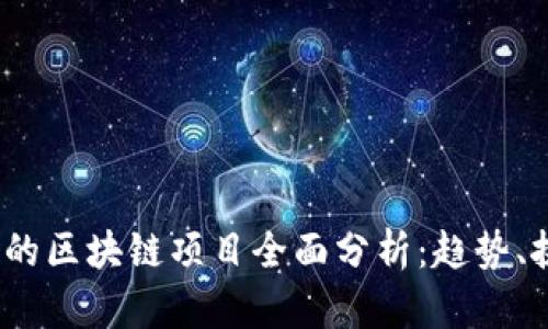 2023年需整改的区块链项目全面分析：趋势、挑战与解决方案