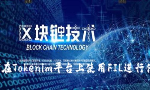 如何在Tokenim平台上使用FIL进行借贷？