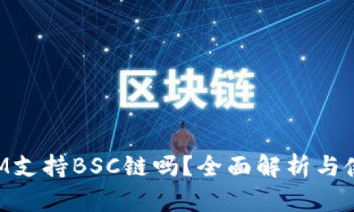 TokenIM支持BSC链吗？全面解析与使用指南
