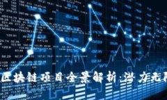 2023年中国区块链项目全景