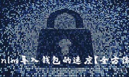 如何加速Tokenim导入钱包的速度？全方位解决方案分析