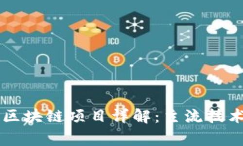 国家认可的区块链项目详解：主流技术与应用分析