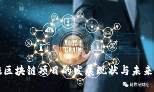 张掖区块链项目的发展现状与未来展望