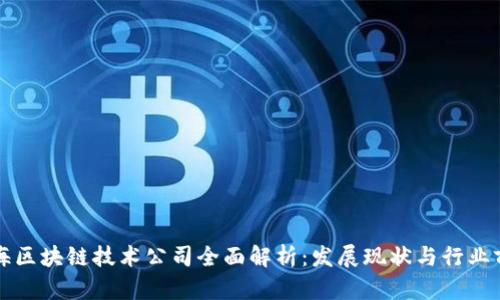 上海区块链技术公司全面解析：发展现状与行业前景