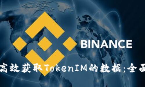 如何高效获取TokenIM的数据：全面指南