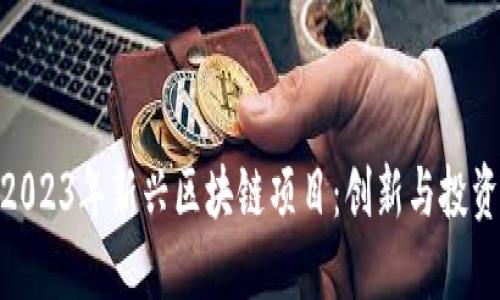 探索2023年新兴区块链项目：创新与投资机会