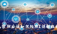 丢失Tokenim钱包密钥后该如