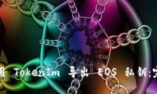 如何使用 TokenIm 导出 EOS 私钥：完整指南