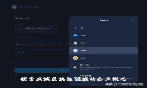 探索戚城区块链领域的企业概况
